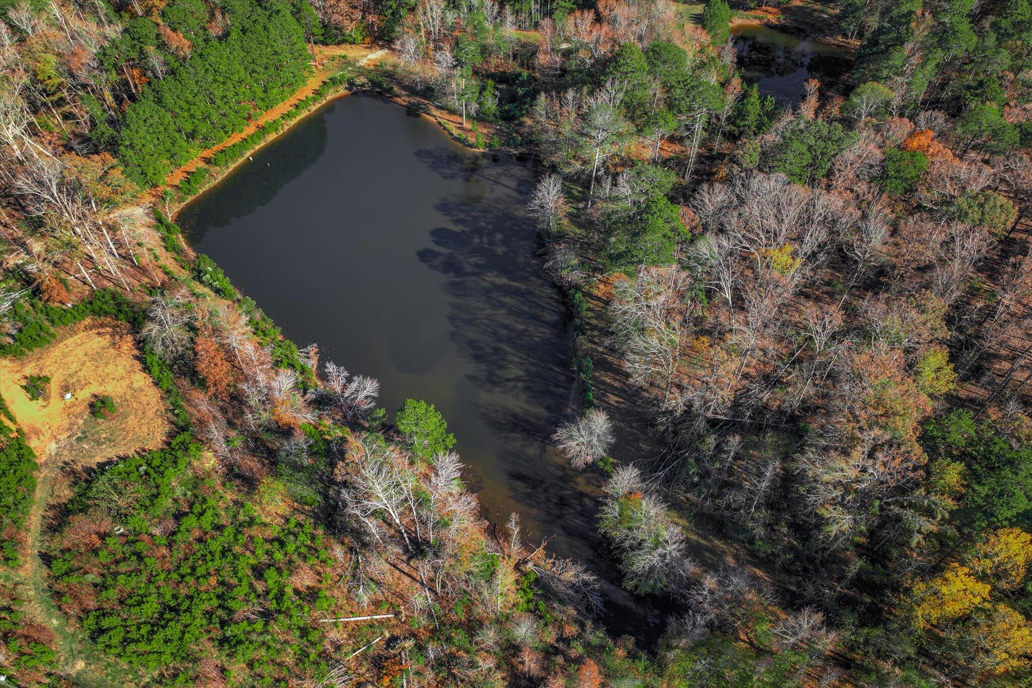 7501 Rainey Morris Road Appling, GA 30802 - Photo 17 of 47 17-116