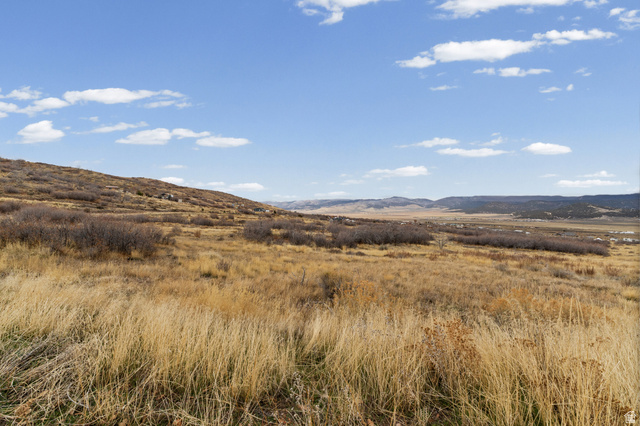 349 West Mountain View Road, Unit 349 Fairview, UT 84629 - Photo 24 of 26 Expansive open land featuring diverse natural grasses and distant rolling hills