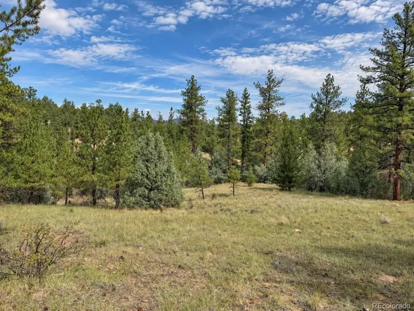 $124,900 | 0 K Path, Cotopaxi, CO 81223