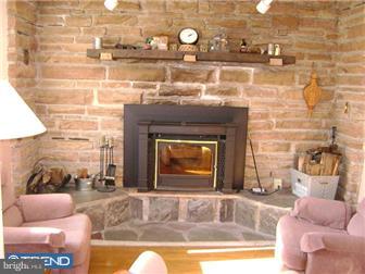 19 Mill Road Norristown, PA 19401 - Photo 5 of 10 Fireplace