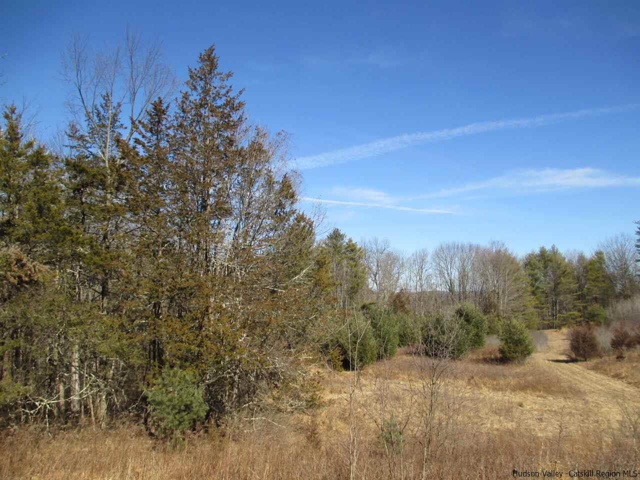 Granite Road Kerhonkson, NY 12446 - Photo 3 of 29 Photo 3