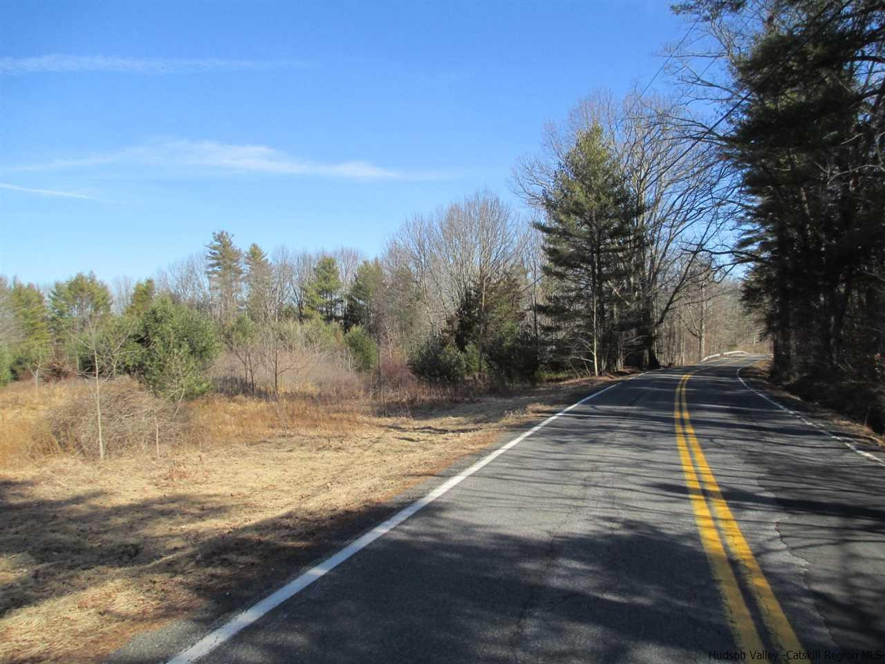 Granite Road Kerhonkson, NY 12446 - Photo 6 of 29 Photo 8