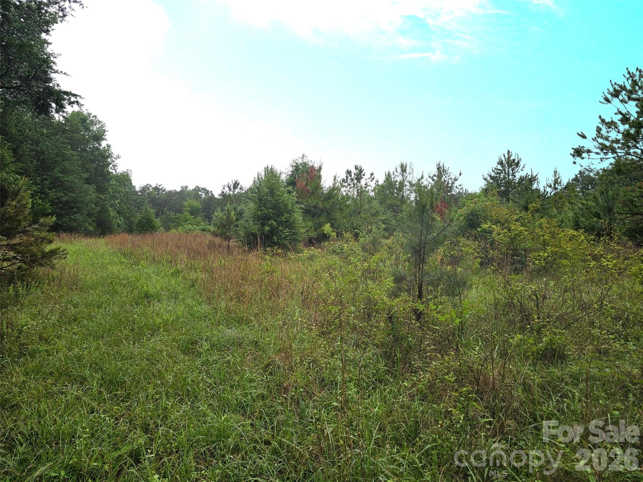 0 Shirley Road Fort Lawn, SC 29714 - Photo 4 of 6