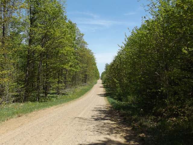 29.37-ac Sipple Road Crandon, WI 54520 - Photo 9 of 20 Gallery Image 9