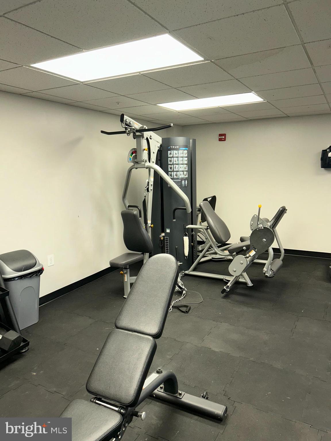 3900 14th Street Northwest, Unit 507 Washington, DC 20011 - Photo 22 of 28