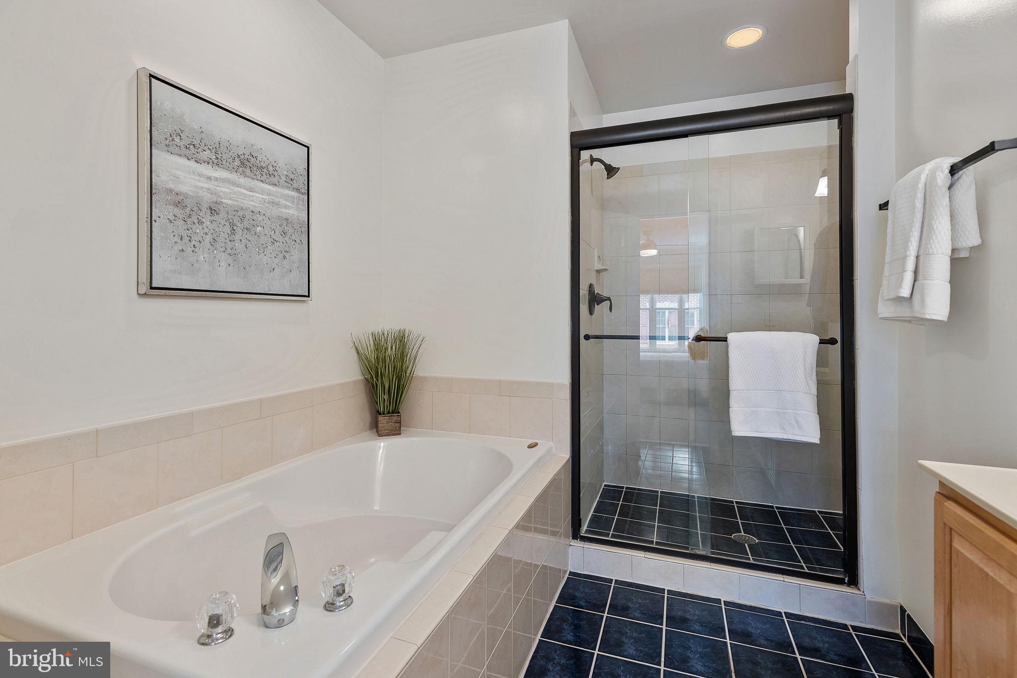 4120 21st Road North Arlington, VA 22207 - Photo 20 of 35 Primary bath with soaking tub and separate shower
