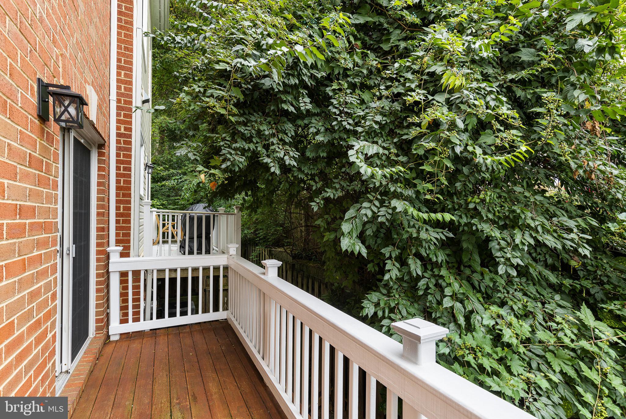 4120 21st Road North Arlington, VA 22207 - Photo 31 of 35 Deck off kitchen