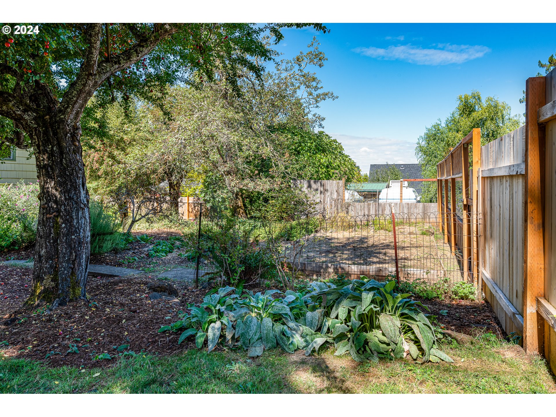 2875 Adams Street Eugene, OR 97405 - Photo 44 of 47 a view of a yard with plants and large trees