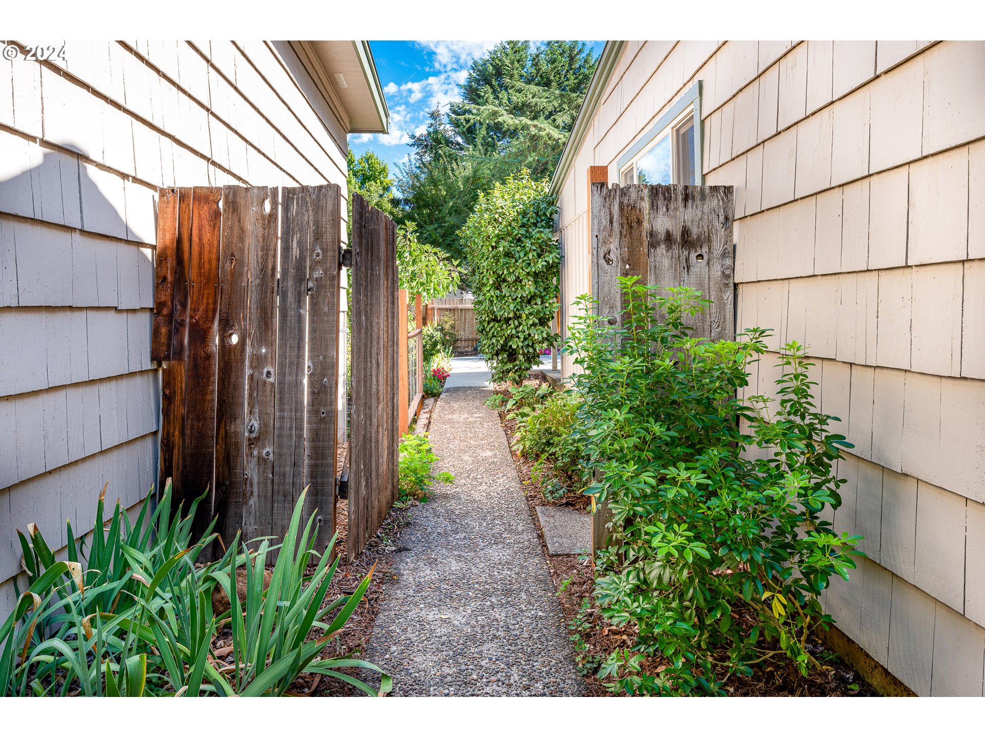 2875 Adams Street Eugene, OR 97405 - Photo 45 of 47 a view of a back yard of the house