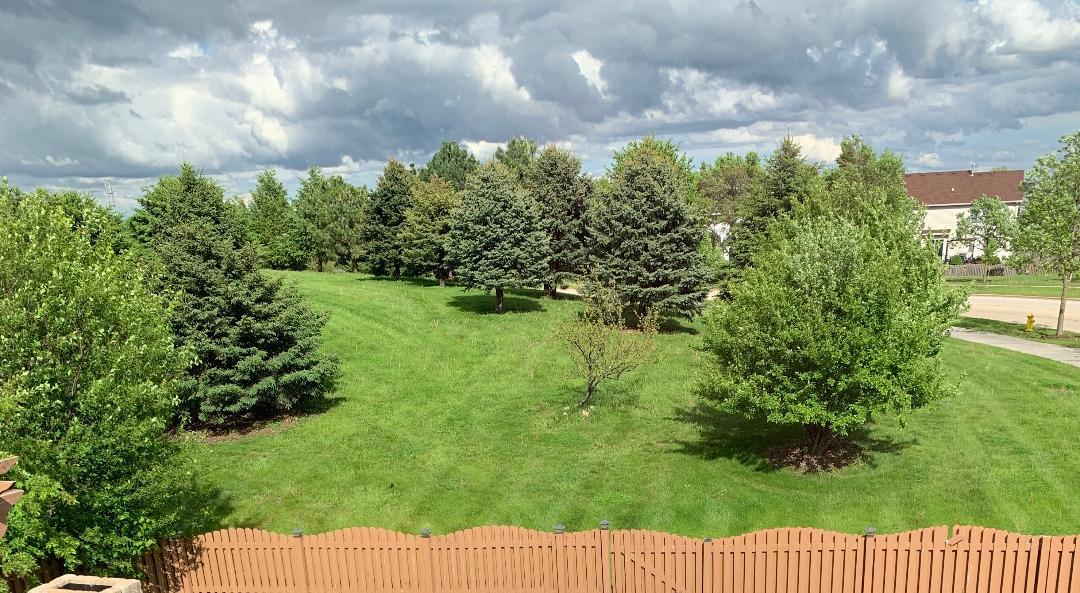 1576 Marigold Lane Minooka, IL 60447 - Photo 25 of 25 a view of a yard