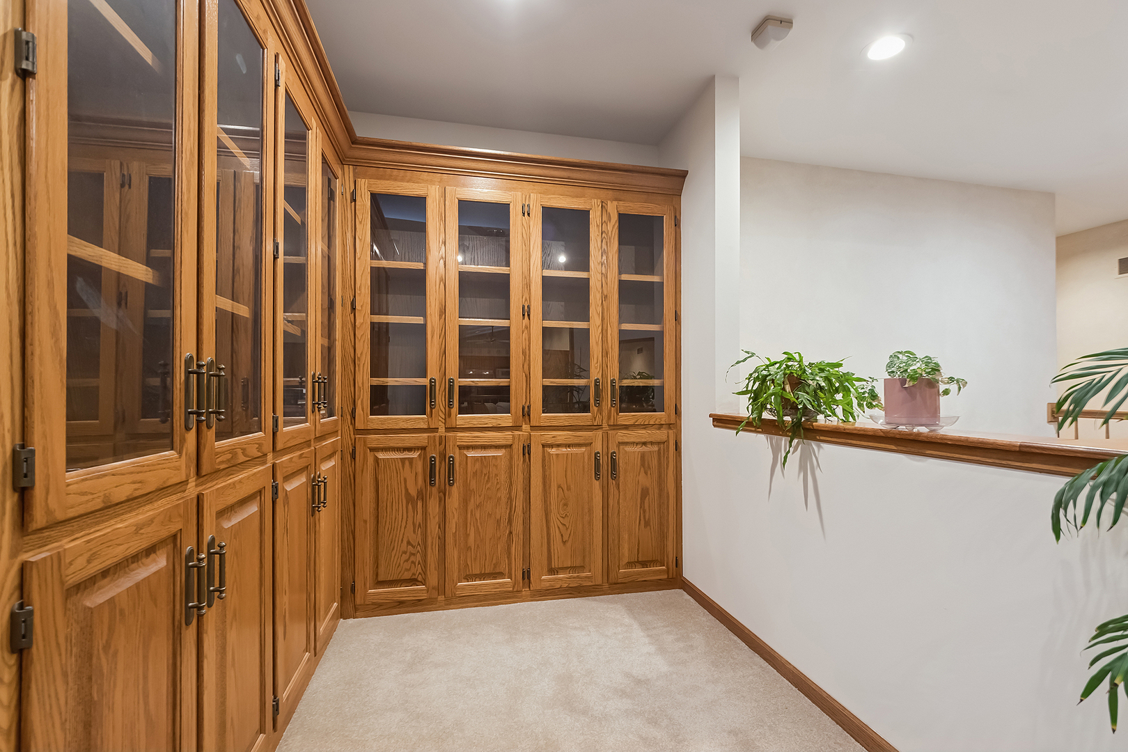 8838 West Manhattan-Monee Road Frankfort, IL 60423 - Photo 19 of 55