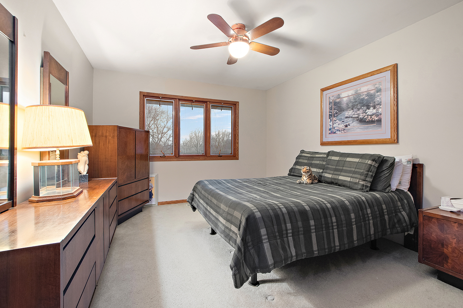 8838 West Manhattan-Monee Road Frankfort, IL 60423 - Photo 30 of 55
