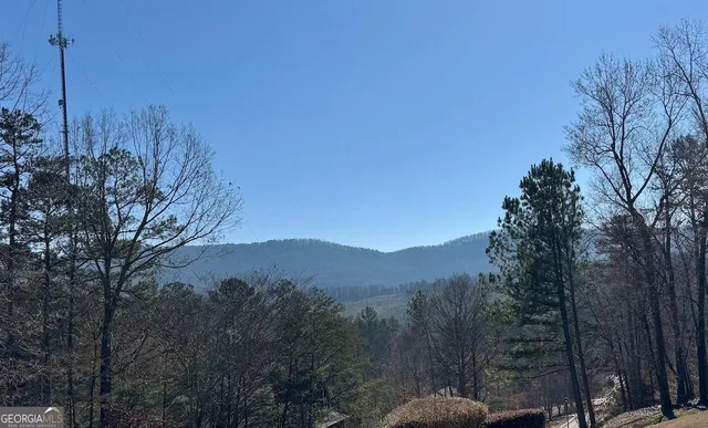 a view of a backyard with trees