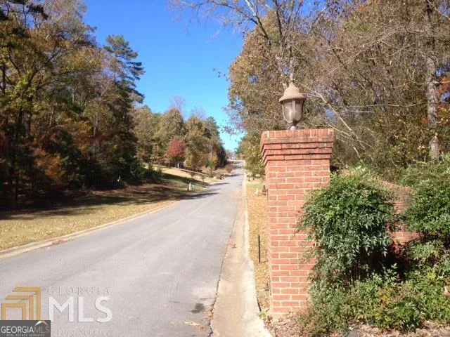 a view of a backyard with couches and trees