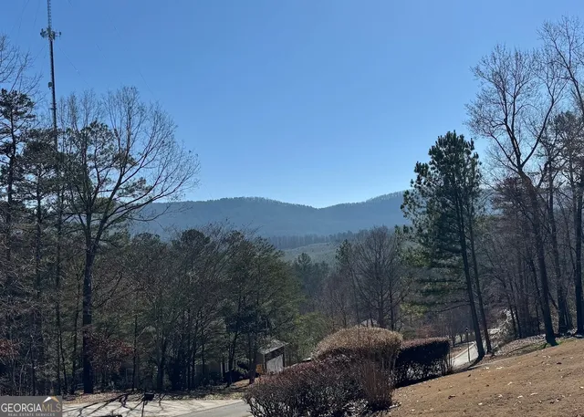 a close up of a plant