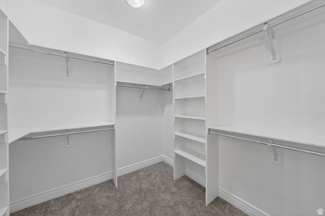 883 East 700 South Springville, UT 84663 - Photo 21 of 59 Walk-in closet featuring built-in white shelving, multiple hanging rods, and neutral-toned carpeting