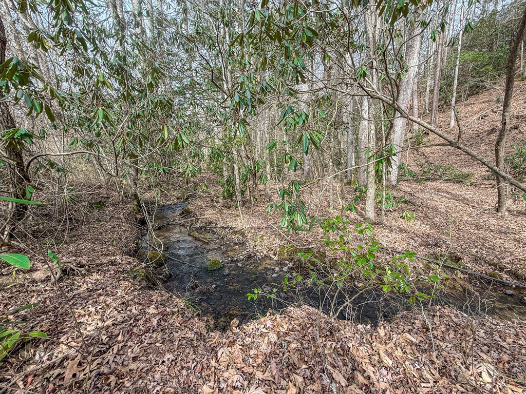 1098 Rowland Hill Road Marble, NC 28905 - Photo 19 of 26