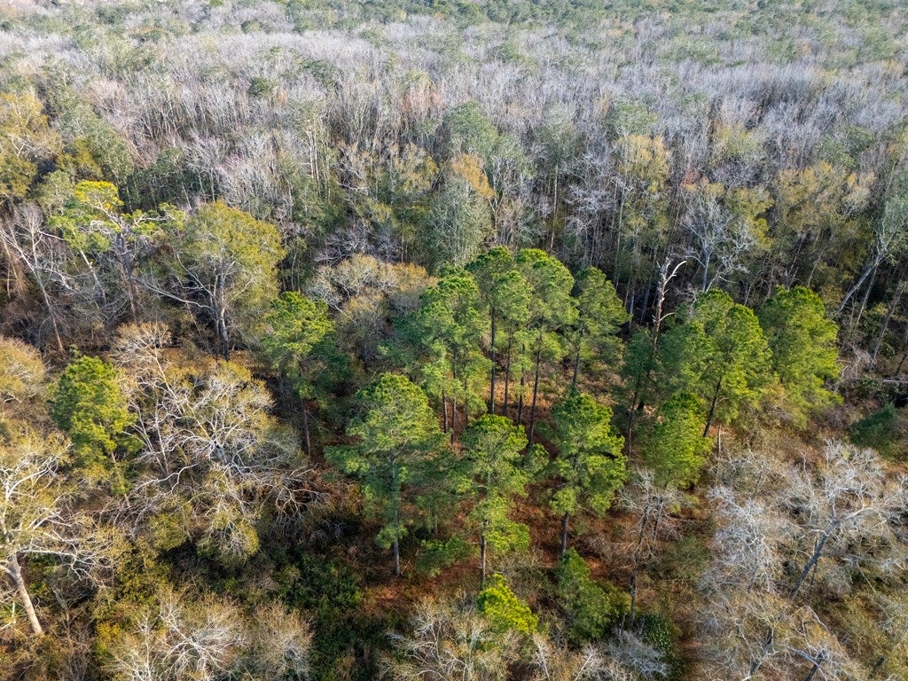 899 R R Folsom Road Adel, GA 31620 - Photo 57 of 59 Gallery Image 57