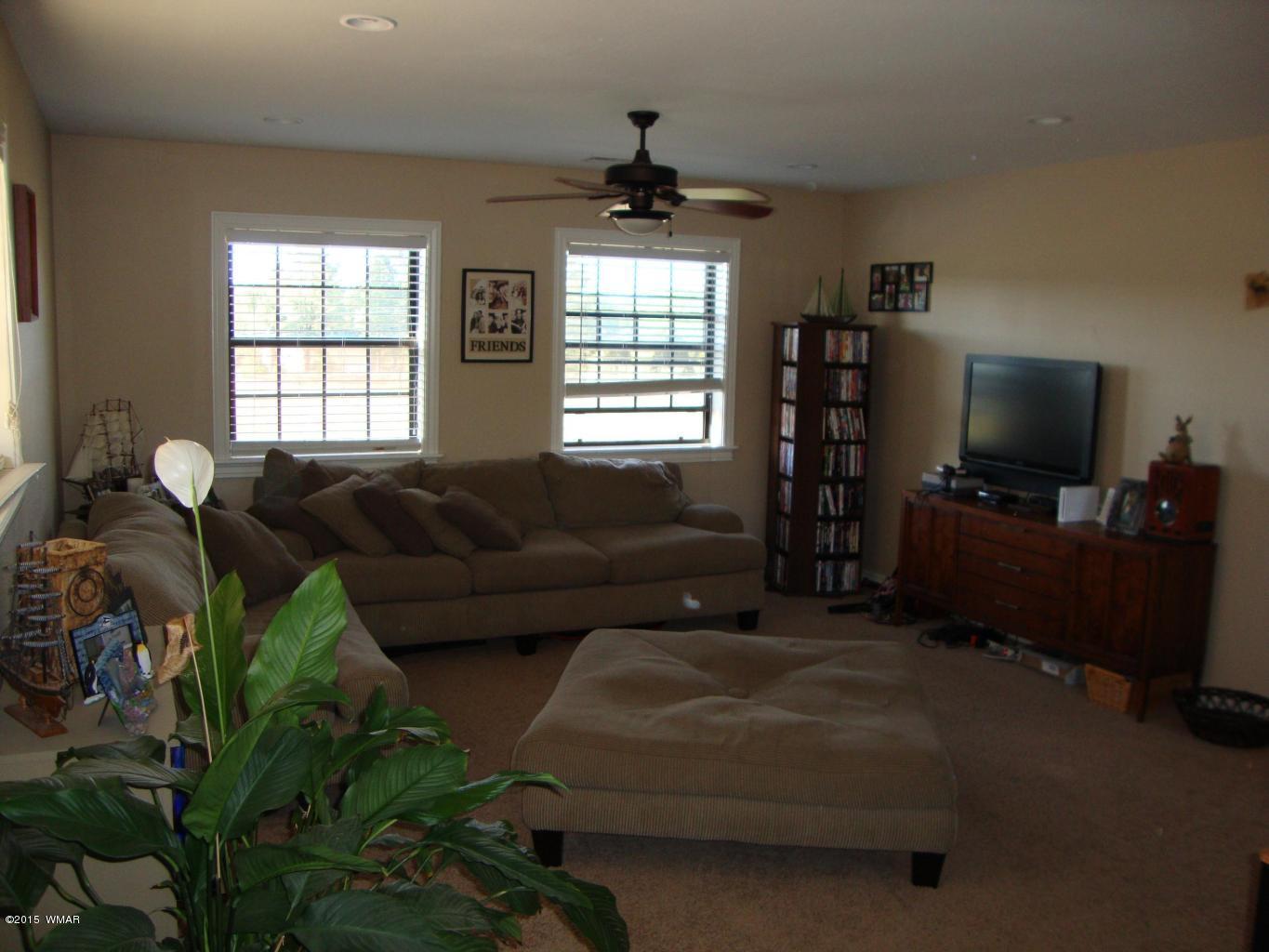 3133 Spring Drive Lakeside, AZ 85929 - Photo 15 of 22 Gallery Image 15
