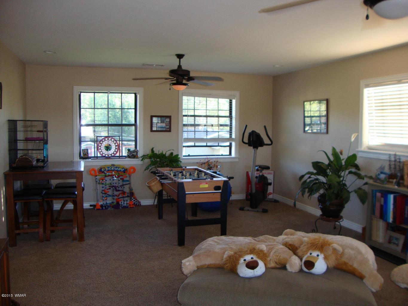 3133 Spring Drive Lakeside, AZ 85929 - Photo 16 of 22 Gallery Image 16