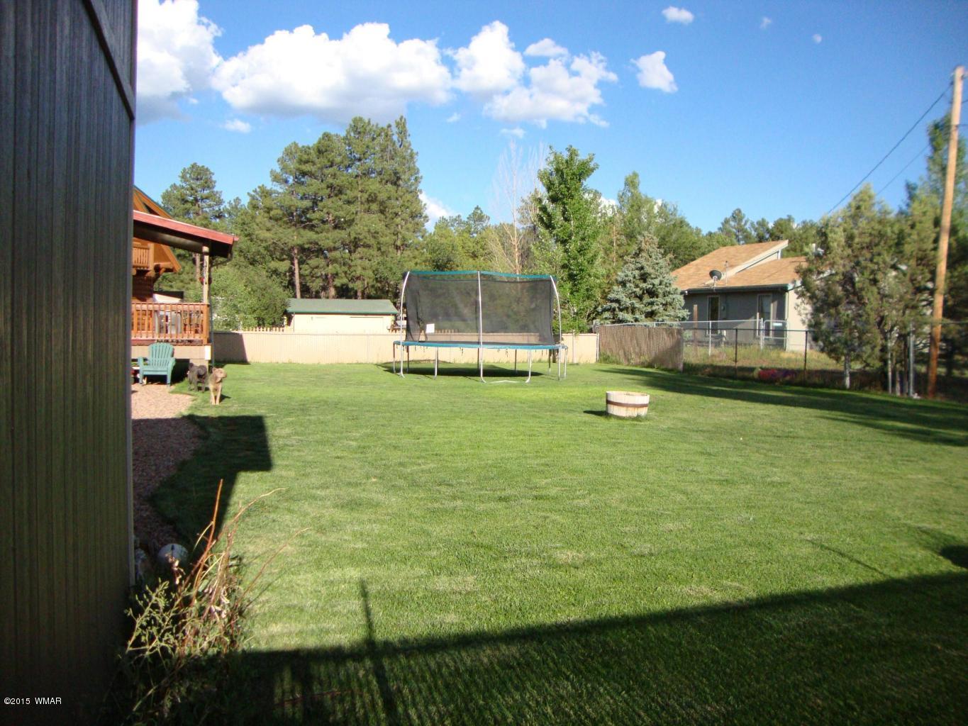 3133 Spring Drive Lakeside, AZ 85929 - Photo 18 of 22 Gallery Image 18