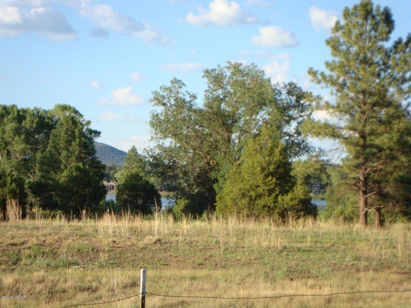 3133 Spring Drive Lakeside, AZ 85929 - Photo 21 of 22 Gallery Image 21