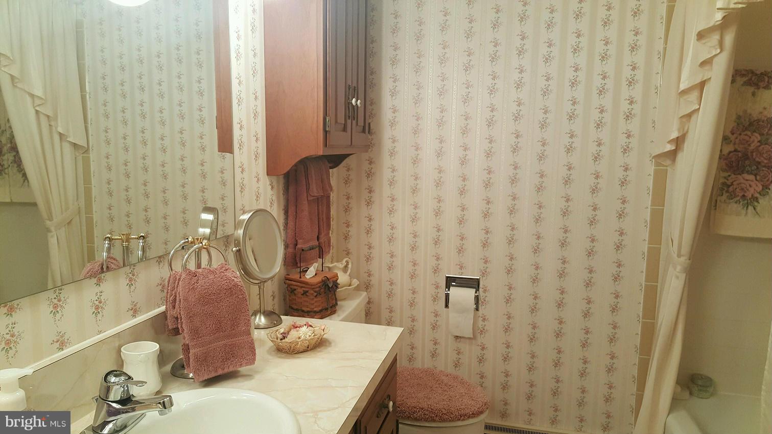 13026 Blairs Valley Road Clear Spring, MD 21722 - Photo 20 of 30 a bathroom with a sink a toilet and shower curtain