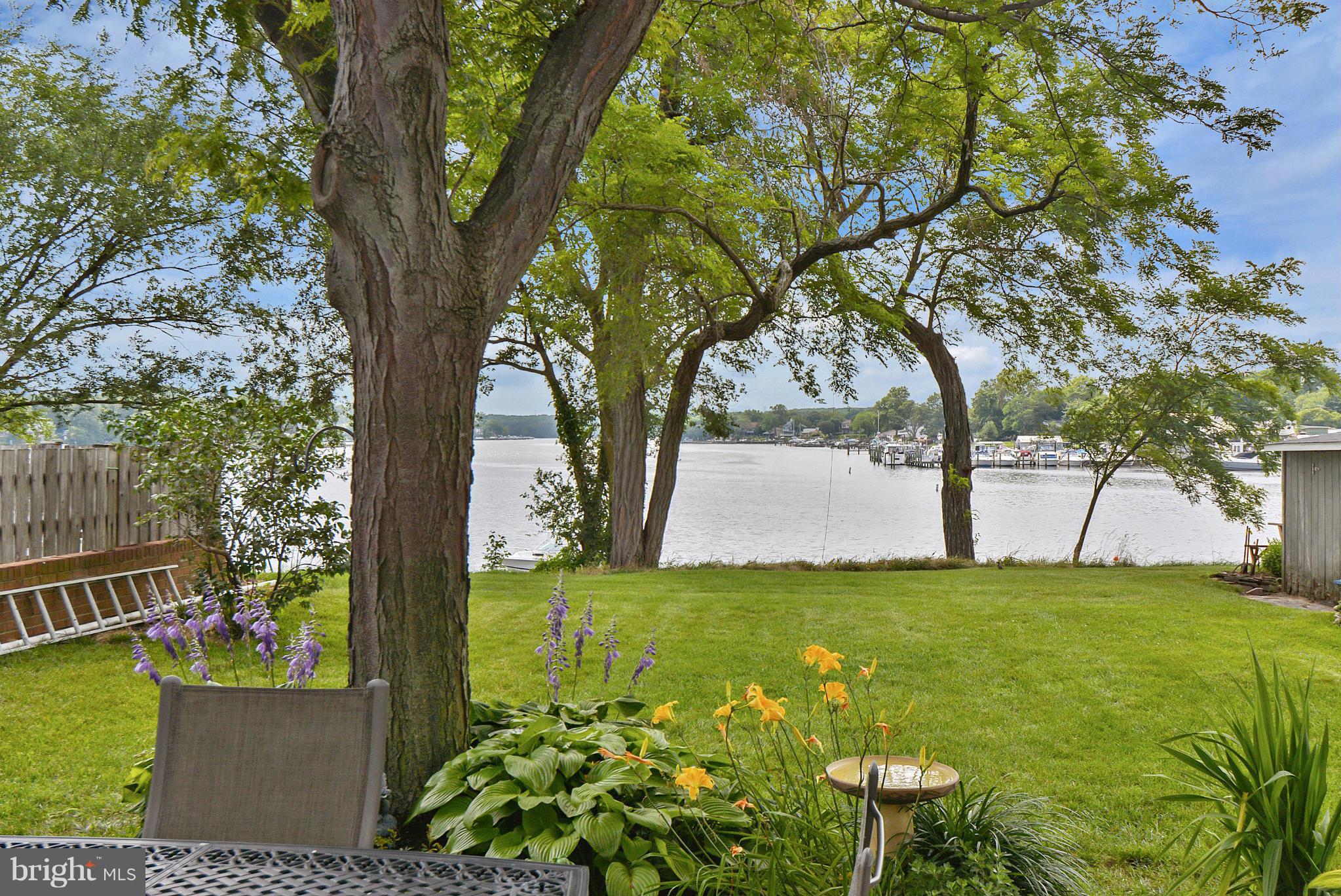 8 Granada Road Pasadena, MD 21122 - Photo 3 of 30 a view of a garden with a tree