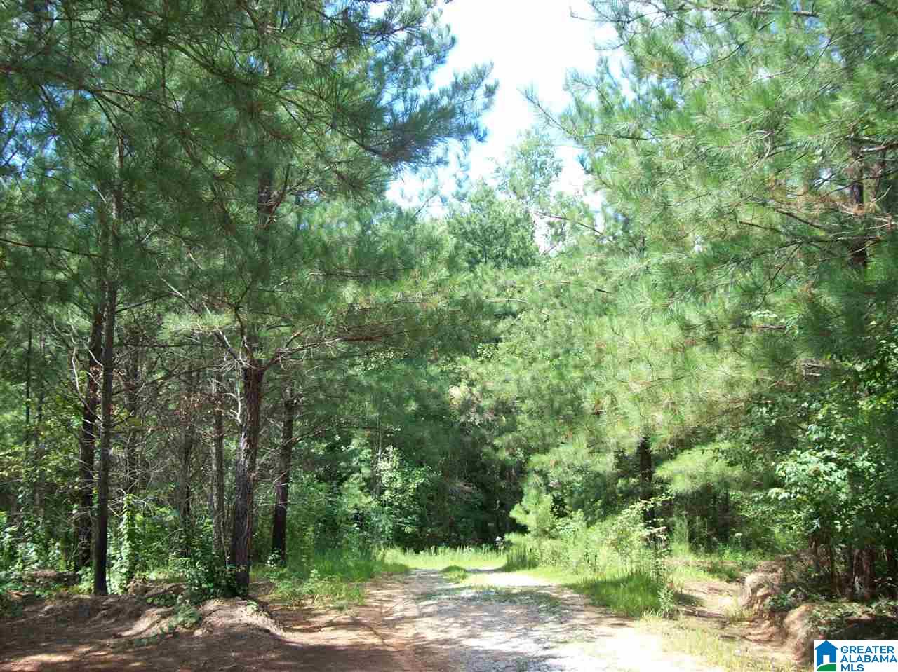 2177 County Road 61 Fruithurst, AL 36262 - Photo 5 of 33