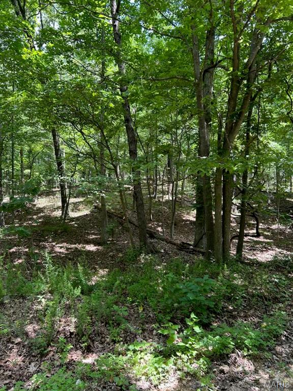 0 Hargrove Road St. Robert, MO 65584 - Photo 1 of 9