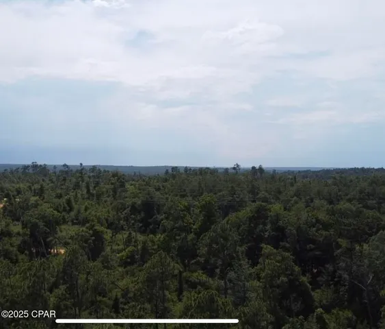 $15,000 | 0 Edison Avenue, Alford, FL 32420