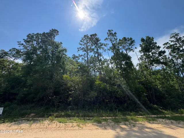 $15,000 | 0 Edison Avenue, Alford, FL 32420