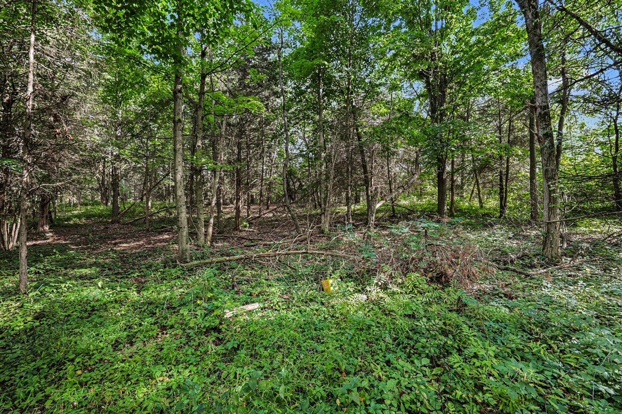 Vl East Riverside Drive Ionia, MI 48851 - Photo 21 of 22 Gallery Image 21
