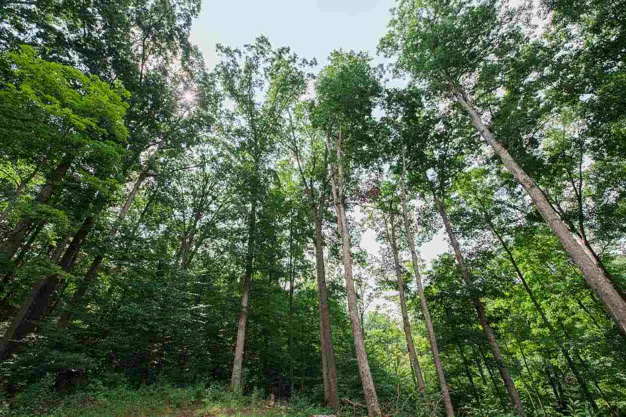 7022 North Miller Road Bloomington, IN 47408 - Photo 24 of 34