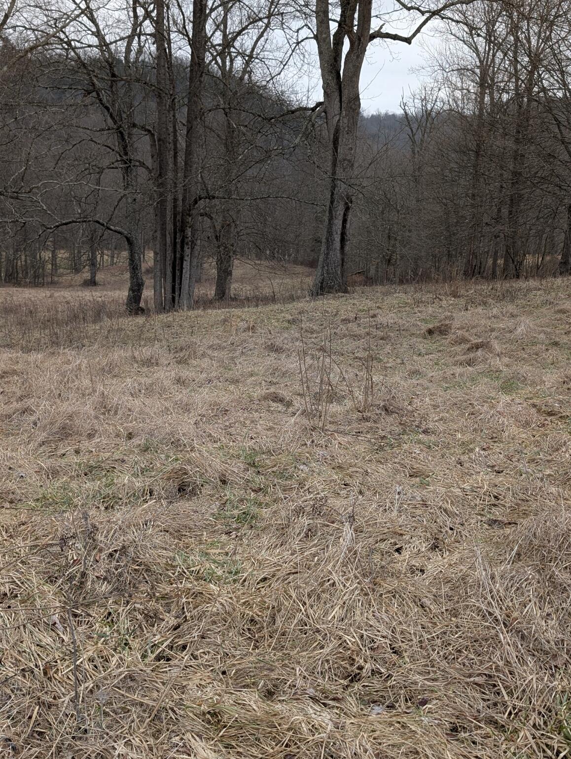 2654 Short Road Salvisa, KY 40372 - Photo 5 of 12 Lot #2
