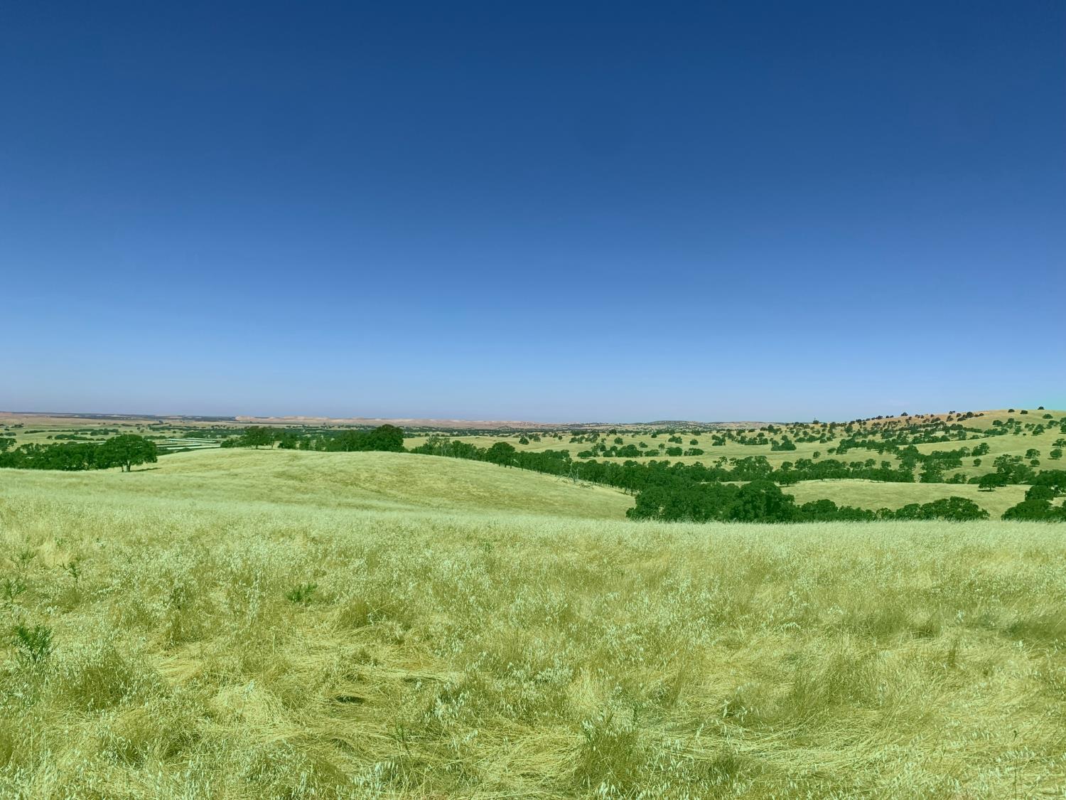 2 Zorro Road La Grange, CA 95329 - Photo 10 of 14 a view of an outdoor space and a yard