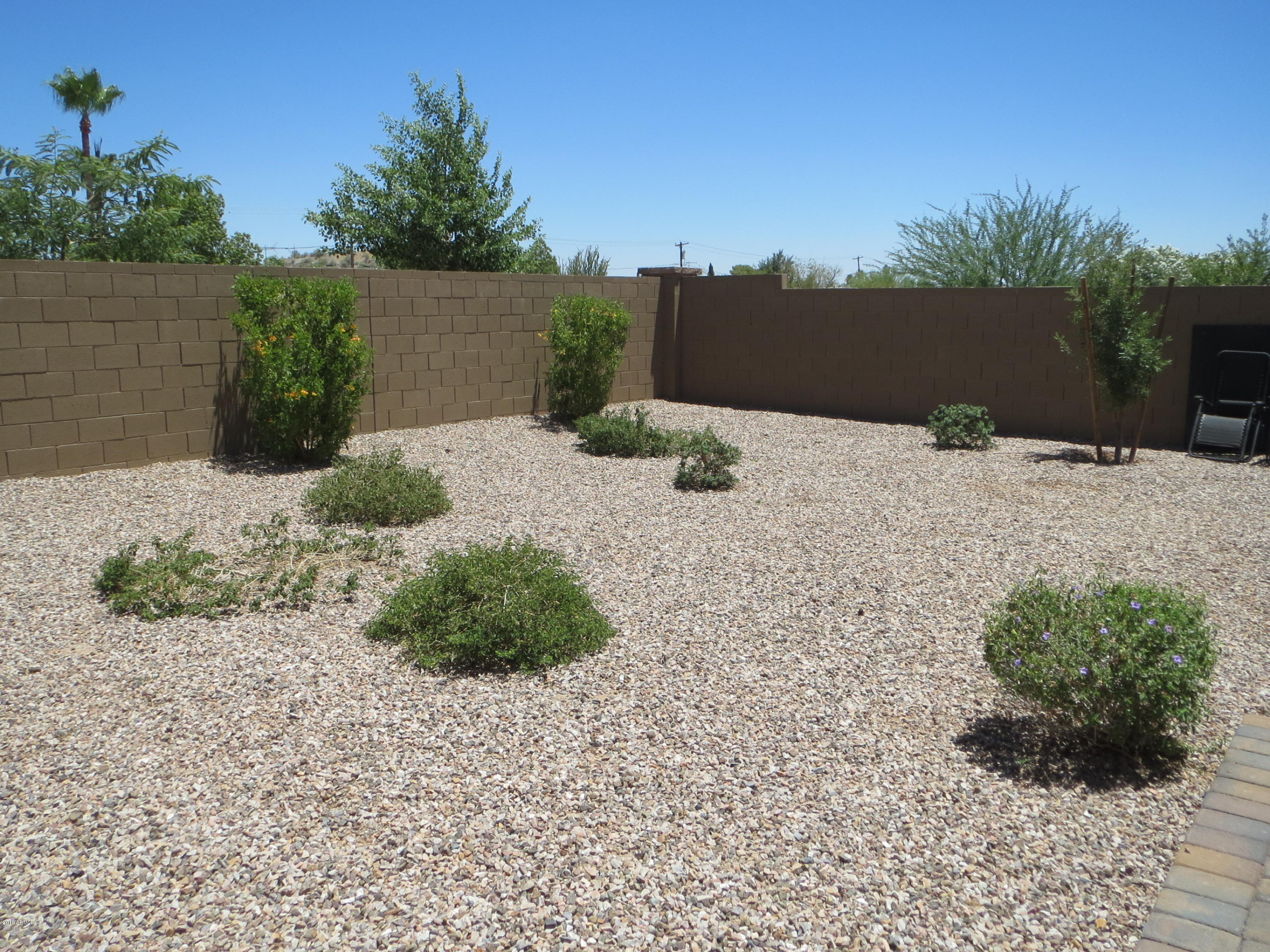 247 North 79th Way Mesa, AZ 85207 - Photo 21 of 27 IMG_2774