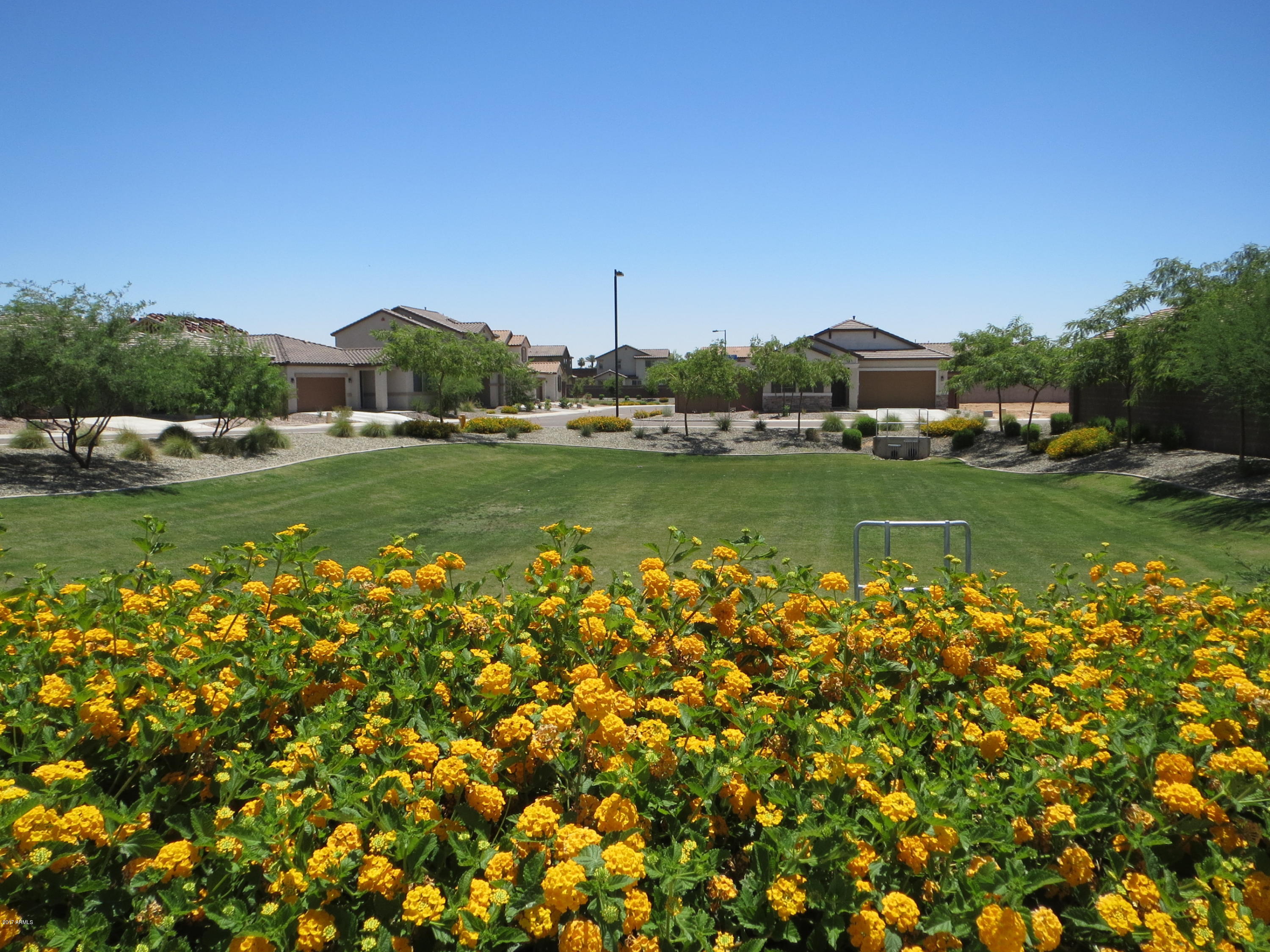 247 North 79th Way Mesa, AZ 85207 - Photo 25 of 27 IMG_2760