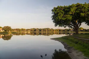 a view of a lake with houses with outdoor space