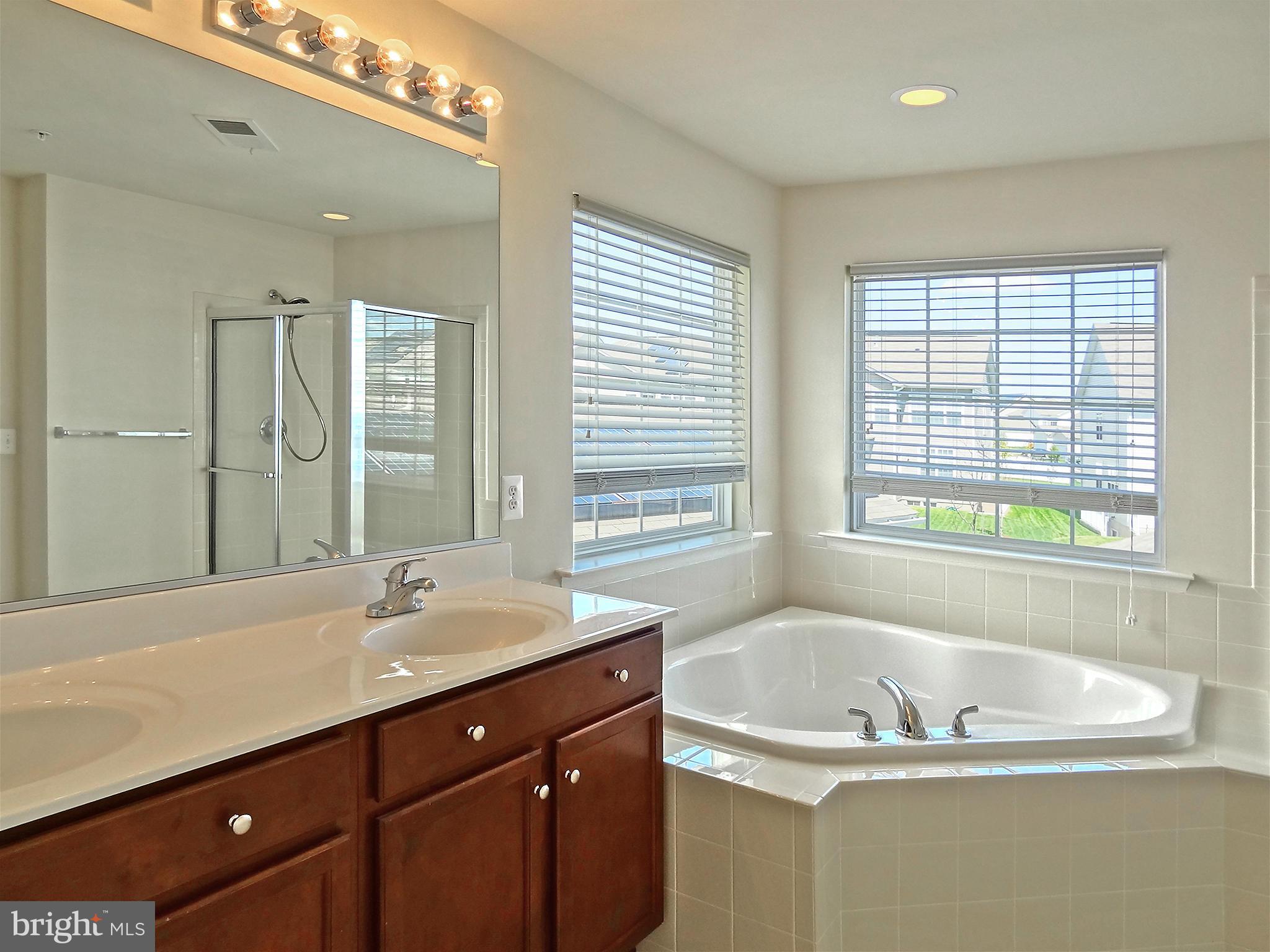 9800 Traver Street Bowie, MD 20721 - Photo 20 of 30 a bathroom with a tub a sink and a window