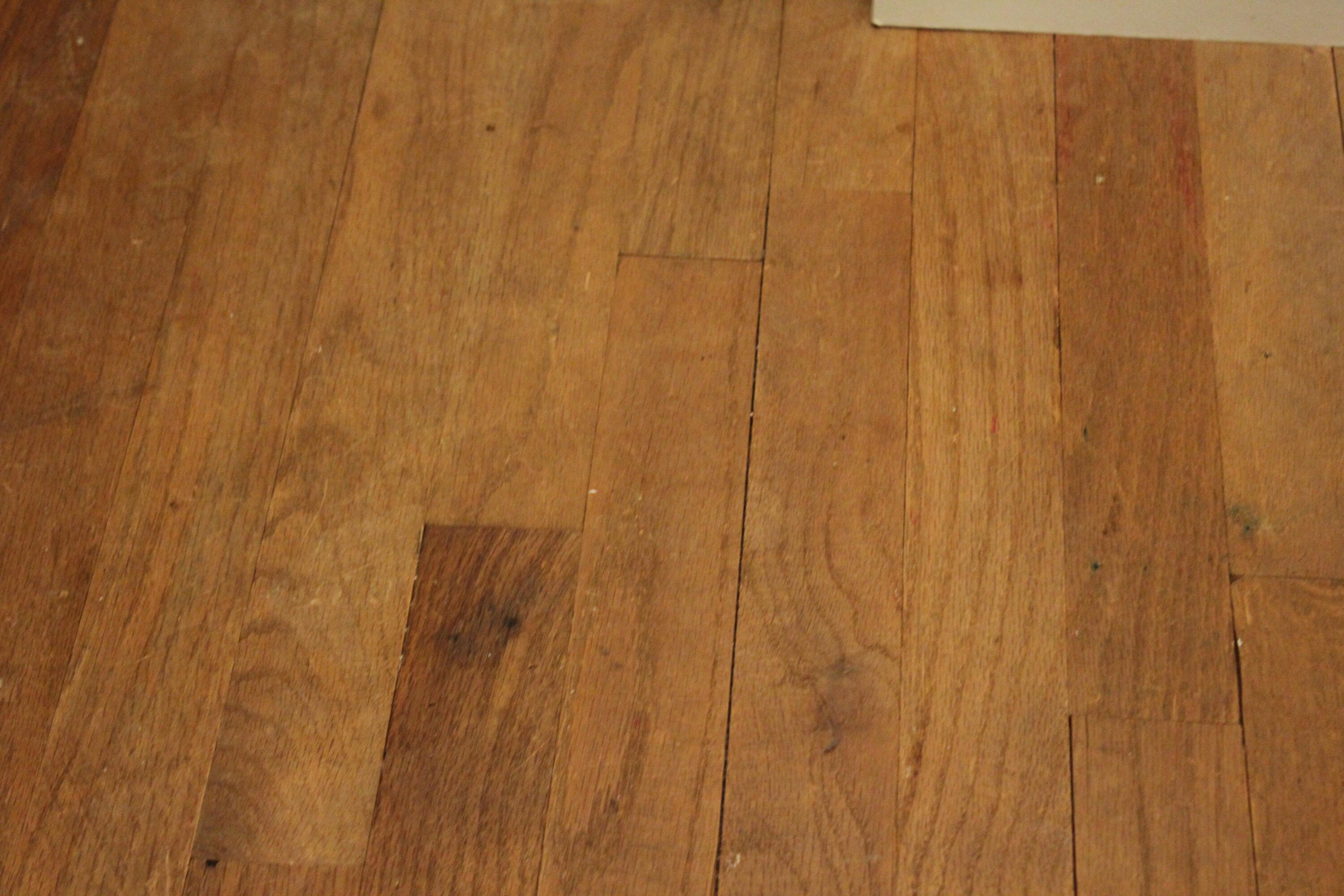719 Sunset Road Ann Arbor, MI 48103 - Photo 43 of 65 Hardwood in closet