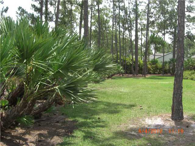 13394 152nd Road North Jupiter, FL 33478 - Photo 2 of 24 Additional Photo
