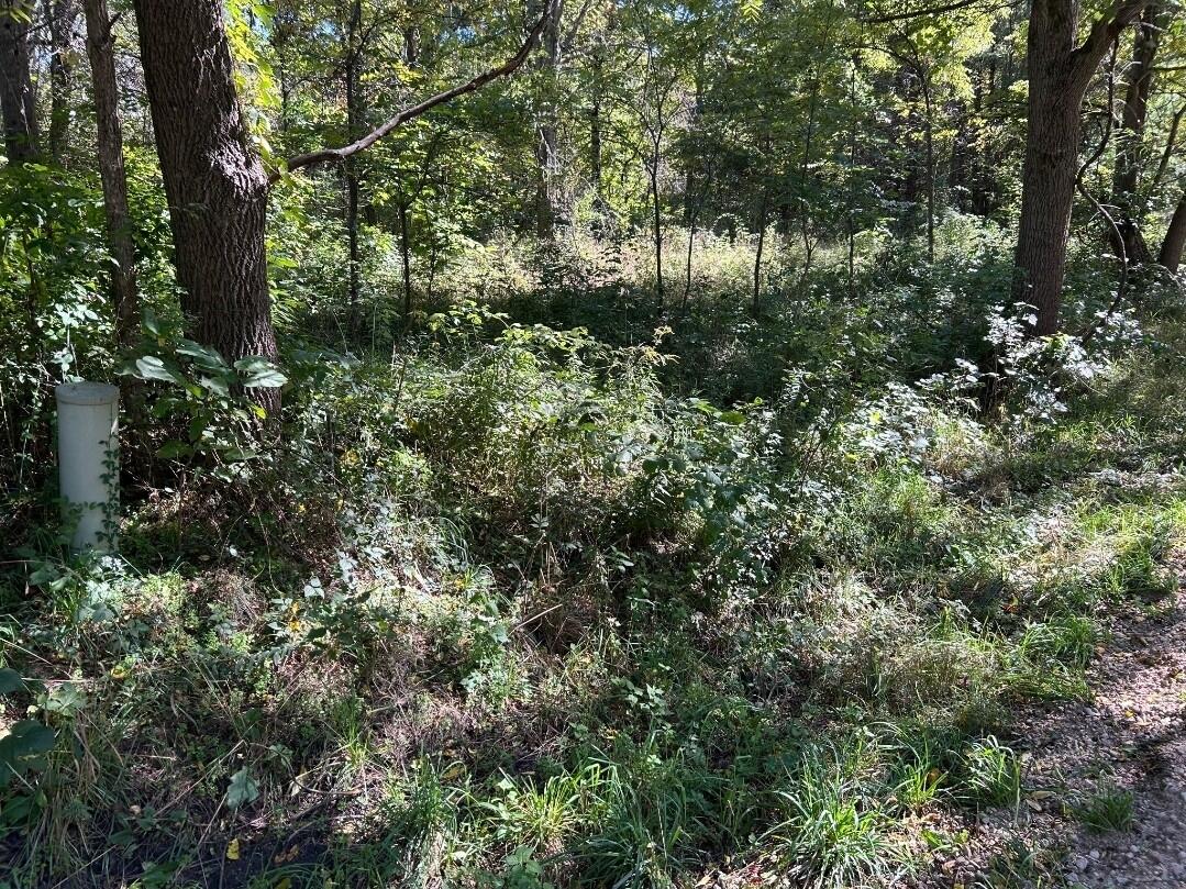 Polp Centerline Road Newaygo, MI 49337 - Photo 3 of 4 85230