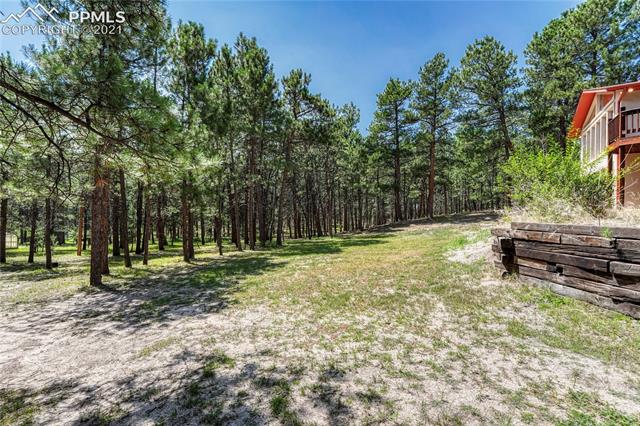 18935 Furrow Road Monument, CO 80132 - Photo 44 of 50