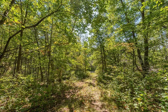 $144,900 | Tract D Tbd Little Pine Road, Brainerd, MN 56401