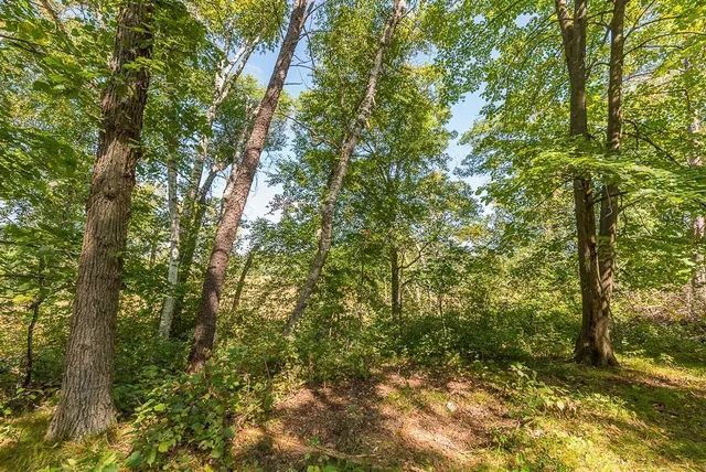 $144,900 | Tract D Tbd Little Pine Road, Brainerd, MN 56401