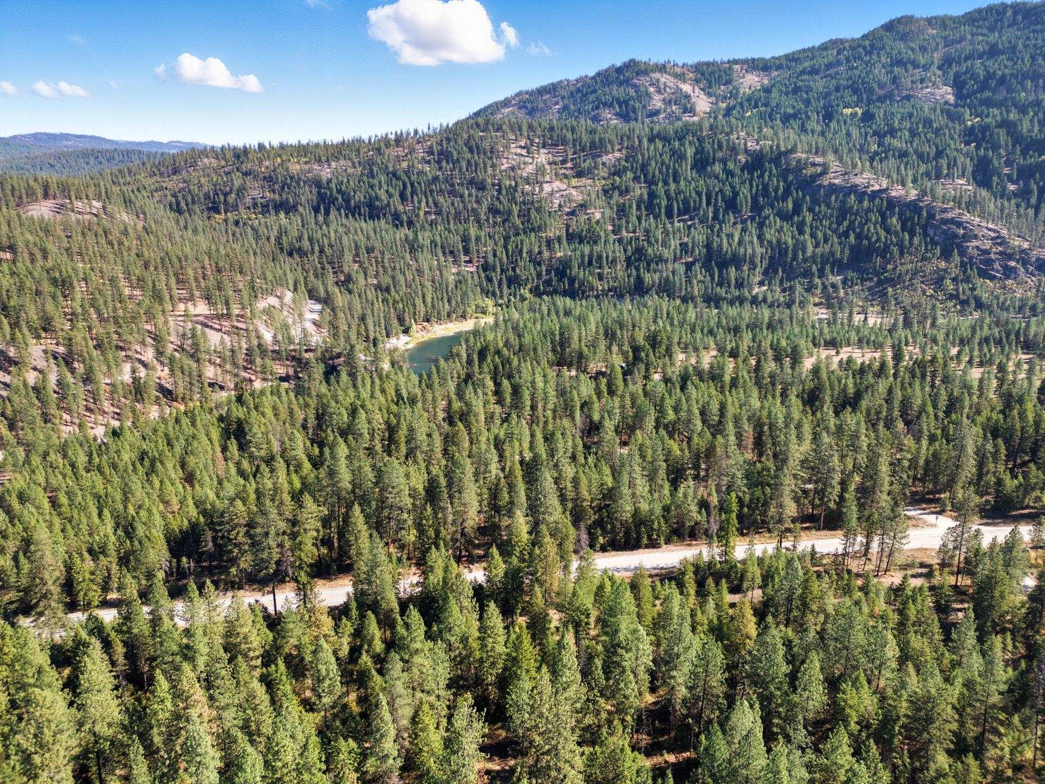 3762 Rockcut Road Kettle Falls, WA 99141 - Photo 8 of 30