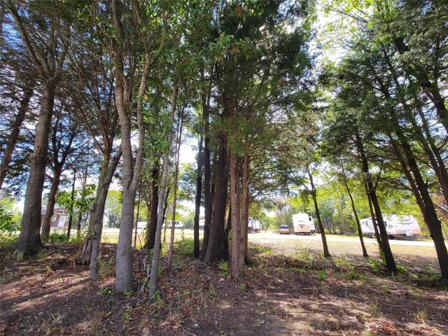 a backyard of a house with lots of trees