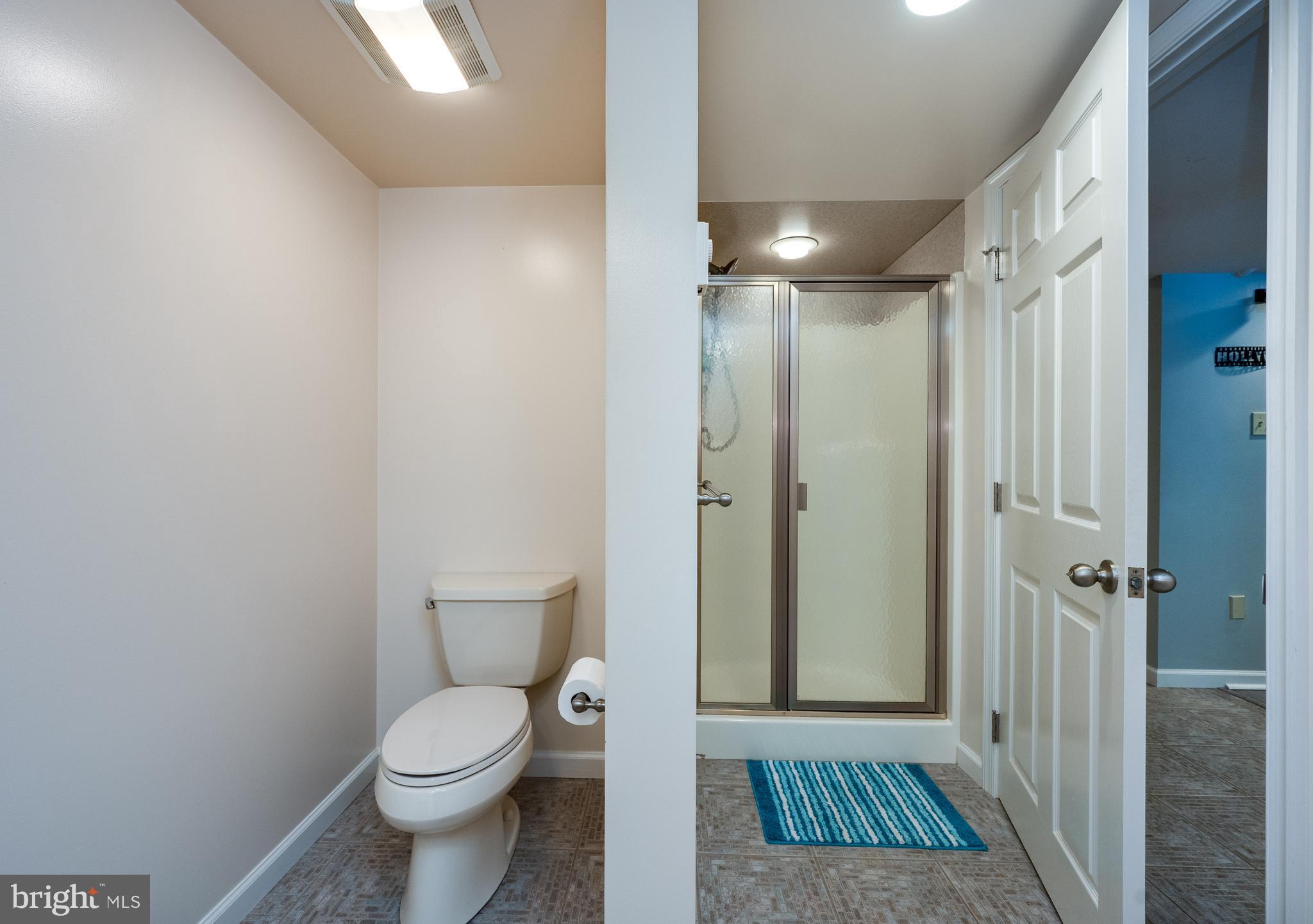 1013 Conifer Road Leesport, PA 19533 - Photo 66 of 102 a bathroom with a toilet a sink and shower