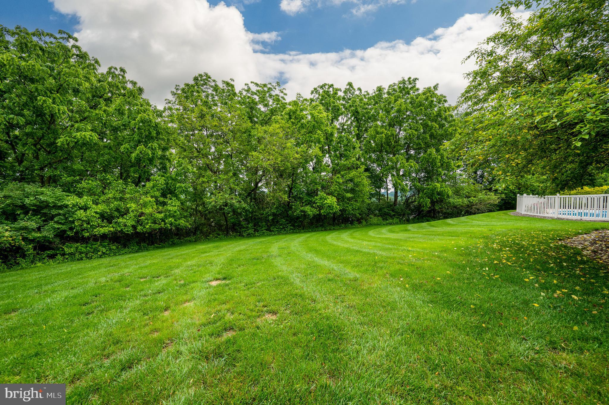 1013 Conifer Road Leesport, PA 19533 - Photo 81 of 102